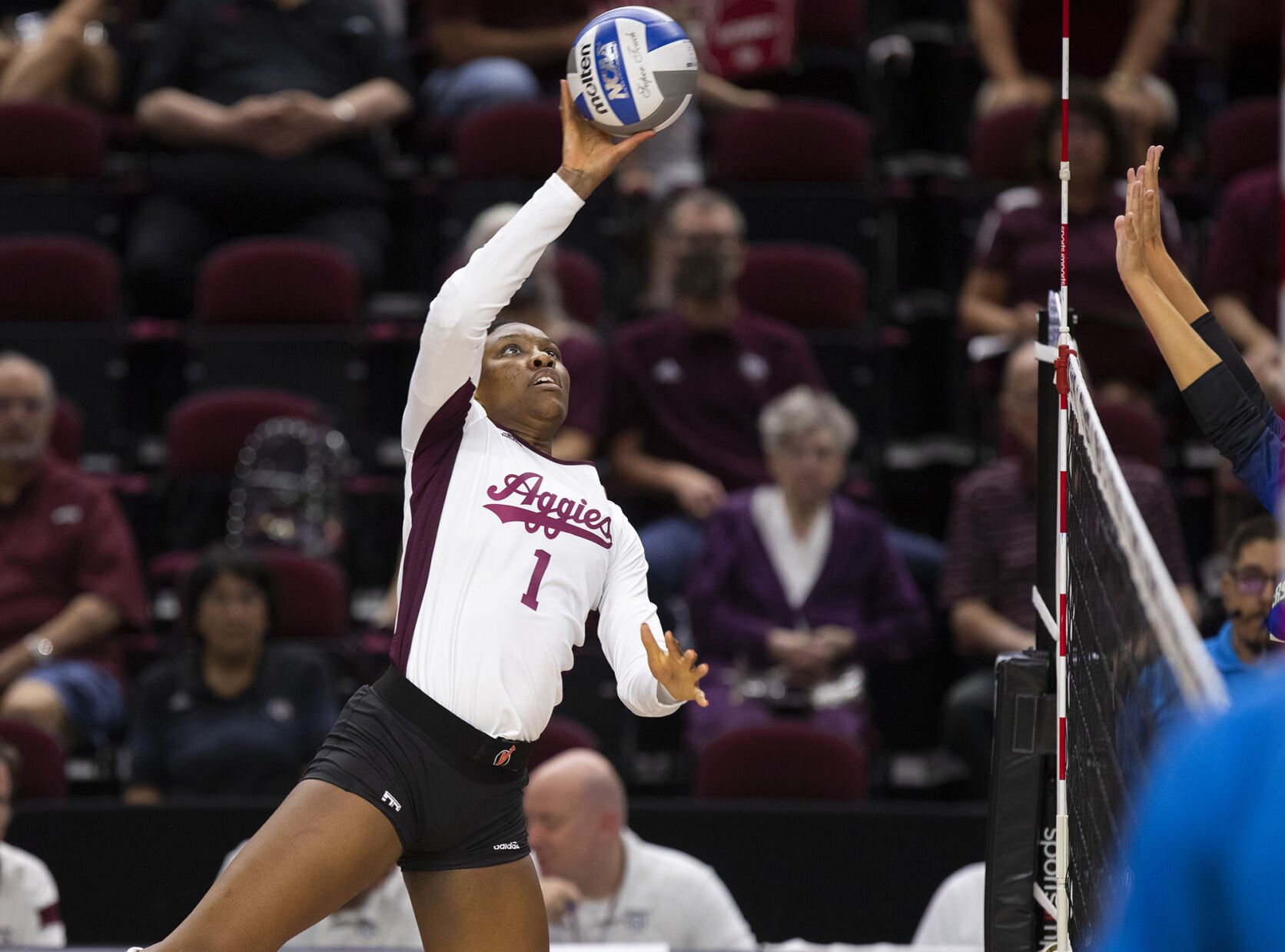 Texas A&M vs. A&M-Corpus Christi